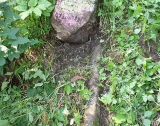 Nagrobek Bronisława Fiedorowicza z cmentarza na Rossie w Wilnie, stan z 2013 r.