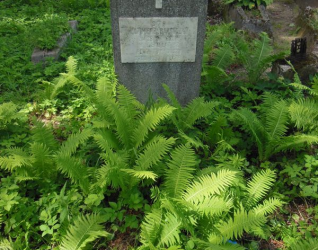 Nagrobek Kazimierza Bartoszko, cmentarz na Rossie w Wilnie, stan na 2013 r.