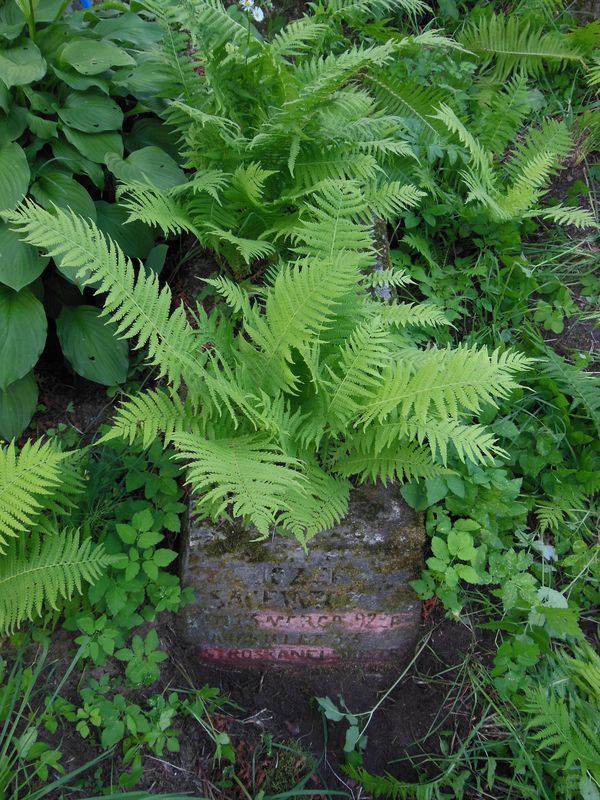 Tombstone of Jozef Sacewicz, Ross cemetery in Vilnius, as of 2013.