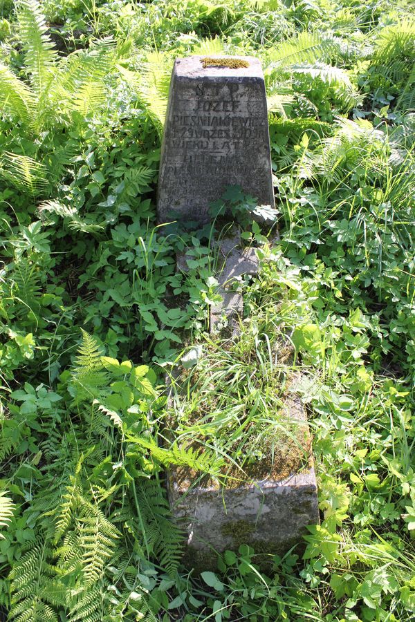 Nagrobek Heleny i Józefa Pieśniakiewiczów, cmentarz Na Rossie w Wilnie, stan z 2013