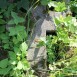 Fotografia przedstawiająca Nagrobek Heleny i Józefa Pieśniakiewiczów
