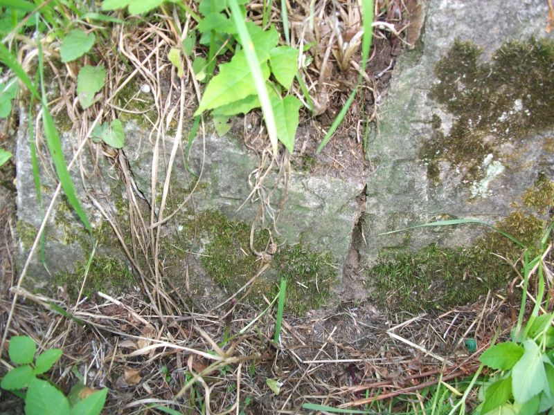 Fragment of the tombstone of N.N. Kulesza, Na Rossa cemetery in Vilnius, as of 2014.