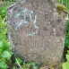 Fotografia przedstawiająca Gravestone of Apolonia Gylmonowicz