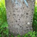 Photo montrant Tombstone of Jerzy Krywko