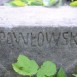 Fotografia przedstawiająca Grobowiec rodziny Mieczkowskich