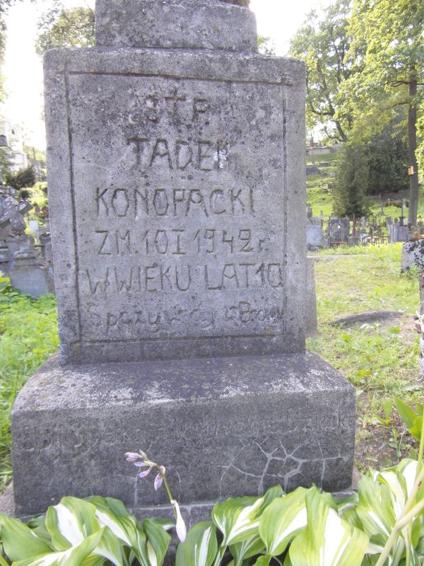Fragment of Tadeusz Konopacki's tombstone, Ross Cemetery in Vilnius, state of 2014