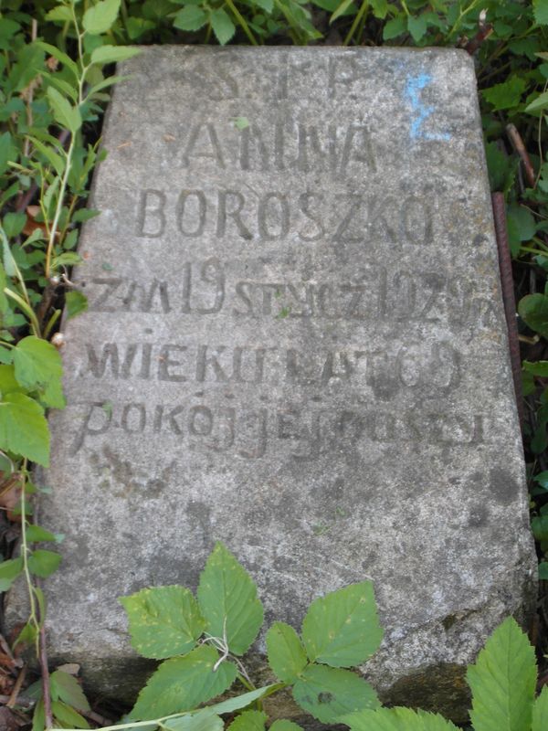 Fragment nagrobka Anny Boroszko, cmentarz na Rossie w Wilnie, stan z 2014