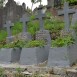 Fotografia przedstawiająca Nagrobek Czesława Łowmeckiego
