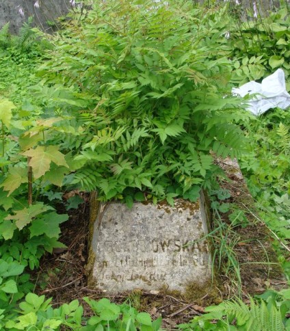 Nagrobek Tekli Gołębiowskiej, cmentarz na Rossie w Wilnie, stan z 2013