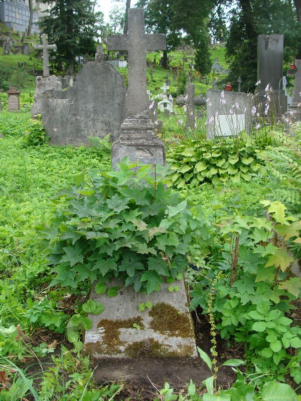 Nagrobek Michała Gołębiowskiego, cmentarz na Rossie w Wilnie, stan z 2013