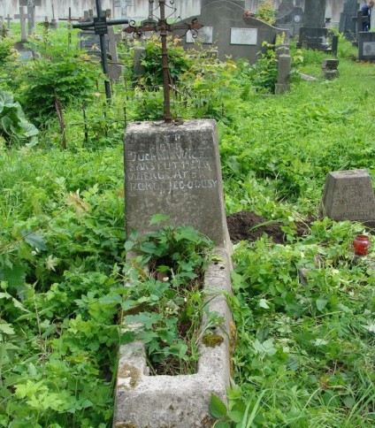 Nagrobek Piotra Juchniewicza, cmentarz na Rossie w Wilnie, stan z 2013