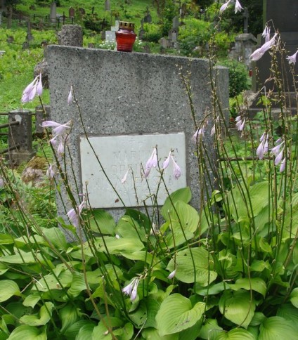 Nagrobek Marii Wiszniewskiej, cmentarz na Rossie w Wilnie, stan z 2013