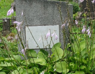 Nagrobek Marii Wiszniewskiej, cmentarz na Rossie w Wilnie, stan z 2013