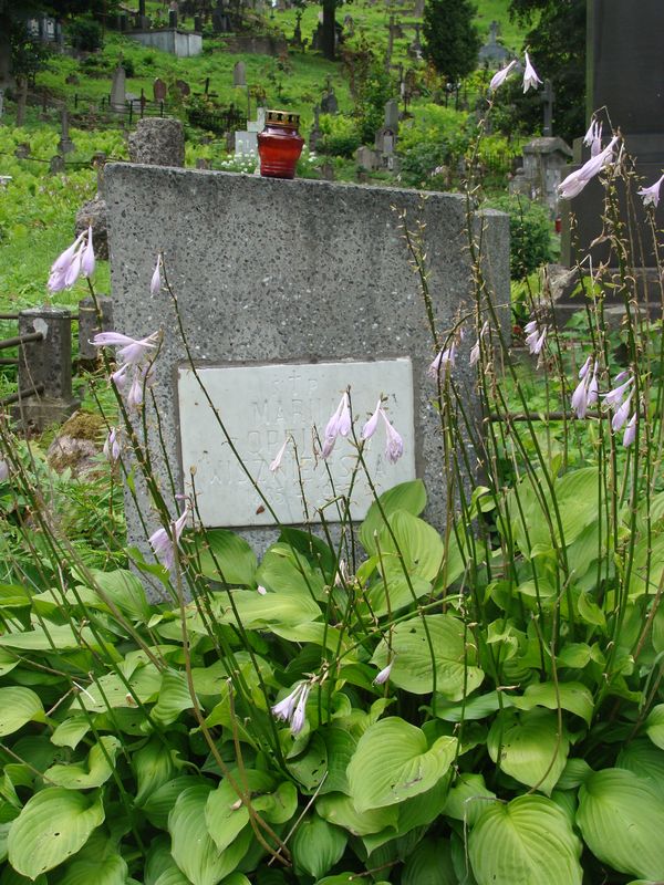 Tombstone of Maria Vishnevskaya, Rossa cemetery in Vilnius, 2013