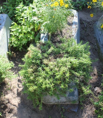 Nagrobek Stanisława Łowmeckiego, cmentarz Na Rossie w Wilnie, stan z 2013