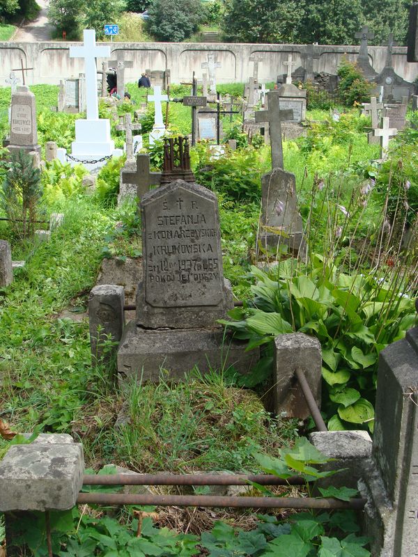 Nagrobek Stefanii Krukowskiej, cmentarz na Rossie w Wilnie, stan z 2013