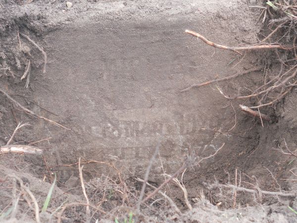 Detail of the gravestone of Michał Nisko, Rossa cemetery in Vilnius, state of 2013