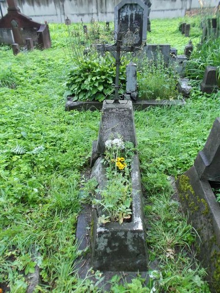 Nagrobek Weroniki Kotowicz, cmentarz na Rossie w Wilnie, stan na 2013 r.