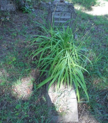 Nagrobek Karola Kierszańskiego, cmentarz Na Rossie w Wilnie, stan z 2013 r.
