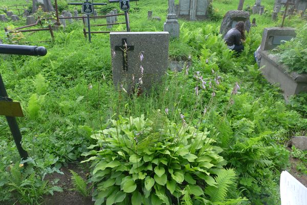 Nagrobek Edwarda i Konstancji Deryngów, cmentarz Na Rossie w Wilnie, stan z 2013 r.