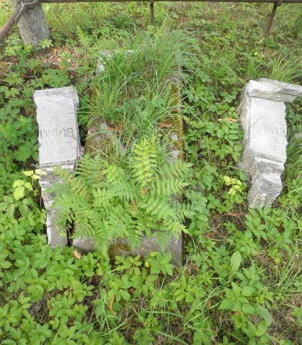 Nagrobek Wiktora Burkiewicza, cmentarz Na Rossie w Wilnie, stan z 2013 r.