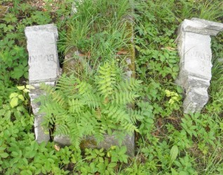 Nagrobek Wiktora Burkiewicza, cmentarz Na Rossie w Wilnie, stan z 2013 r.