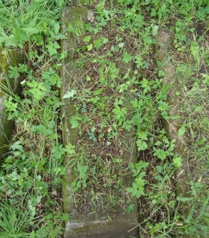 Nagrobek Anny Łukaszewicz, cmentarz Na Rossie w Wilnie, stan z 2013