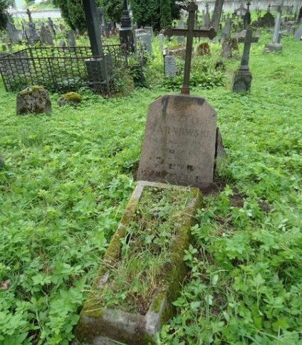 Nagrobek Bazylego Tarnowskiego, cmentarz Na Rossie w Wilnie, stan z 2013