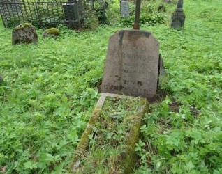 Nagrobek Bazylego Tarnowskiego, cmentarz Na Rossie w Wilnie, stan z 2013