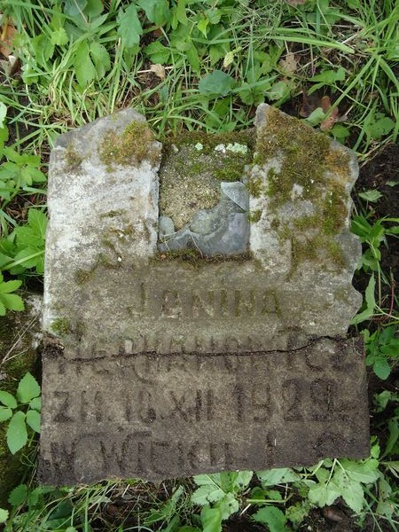 Fragment nagrobka Janiny Hermanowicz, cmentarz Na Rossie w Wilnie, stan z 2013