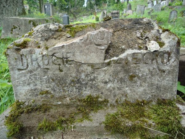 Fragment nagrobka Janiny Hermanowicz, cmentarz Na Rossie w Wilnie, stan z 2013