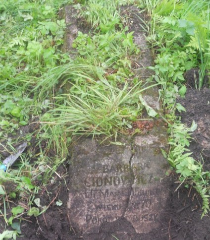 Nagrobek Barbary Cionowicz, cmentarz na Rossie w Wilnie, stan z 2013