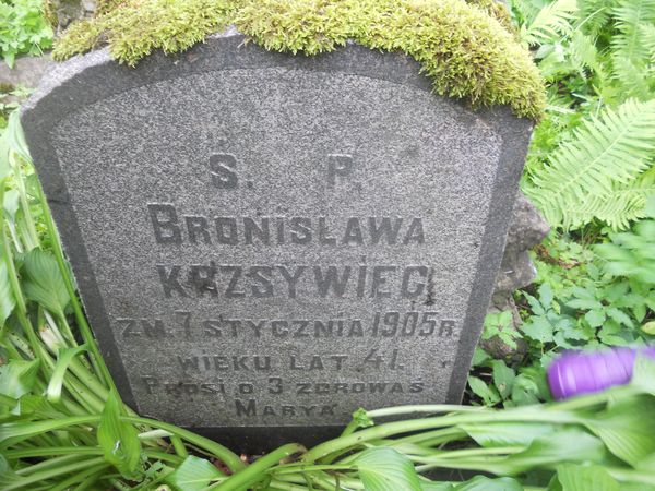 Detal nagrobka Bronisławy Krzsywiec, cmentarz na Rossie w Wilnie, stan z 2013
