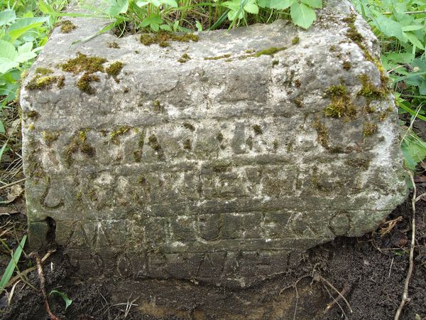 Fragment nagrobka Katarzyny S[tap]kiewicz, cmentarz Na Rossie w Wilnie, stan z 2013
