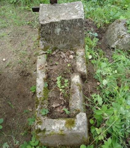 Nagrobek N. N. Stapkiewicza, cmentarz Na Rossie w Wilnie, stan z 2013