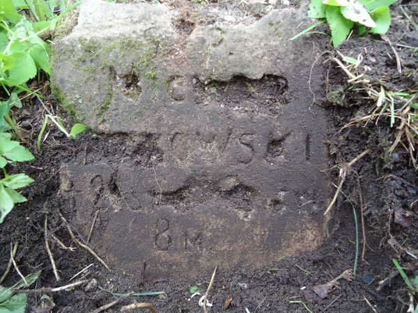 Fragment of [M]ic[hał]a [Wit]kowski's tombstone, Na Rossie cemetery in Vilnius, as of 2013