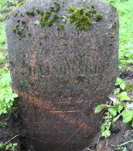 Nagrobek Kazimierza Dajnowskiego, cmentarz Na Rossie w Wilnie, stan z 2013