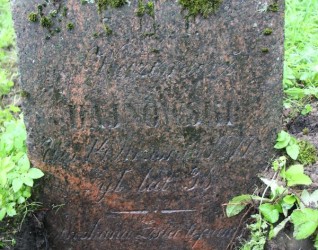 Nagrobek Kazimierza Dajnowskiego, cmentarz Na Rossie w Wilnie, stan z 2013