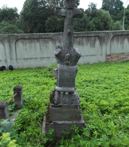 Nagrobek Teodora Slaniny, cmentarz na Rossie w Wilnie, stan na 2013 r.