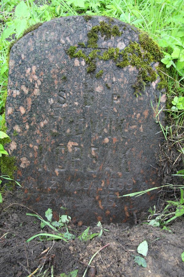 Tombstone of Ludwik Korsak, Na Rossie cemetery in Vilnius, as of 2013