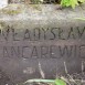 Fotografia przedstawiająca Tombstone of Władysław Bancarewicz