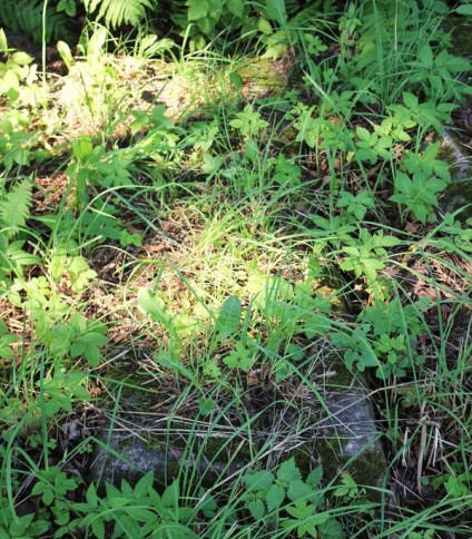 Nagrobek Władysława Romanowskiego, cmentarz Na Rossie w Wilnie, stan z 2014 r.