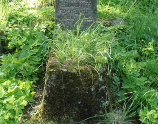 Nagrobek Michała Sinkiewicza, cmentarz na Rossie w Wilnie, stan z 2013