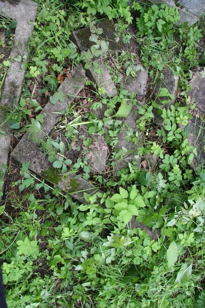 Fragment nagrobka Karoliny Walentynowicz, cmentarz Na Rossie w Wilnie, stan z 2013