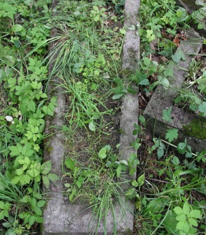 Nagrobek Karoliny Walentynowicz, cmentarz Na Rossie w Wilnie, stan z 2013