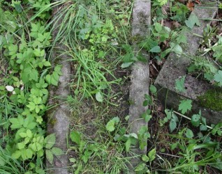 Nagrobek Karoliny Walentynowicz, cmentarz Na Rossie w Wilnie, stan z 2013