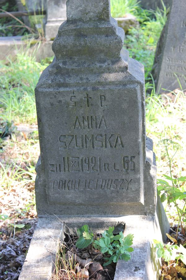 Fragment nagrobka Anny Szumskiej, cmentarz Na Rossie w Wilnie, stan z 2014 r.