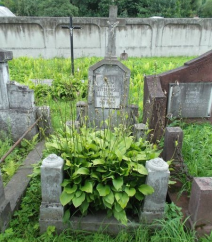 Nagrobek Jadwigi Szydłowskiej, cmentarz na Rossie w Wilnie, stan na 2013 r.