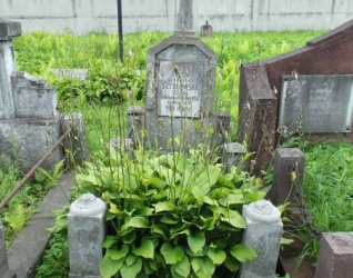 Nagrobek Jadwigi Szydłowskiej, cmentarz na Rossie w Wilnie, stan na 2013 r.