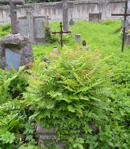 Nagrobek Weroniki Święcickiej, cmentarz na Rossie w Wilnie, stan z 2013